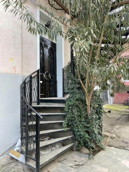 House In Old Tbilisi 아파트 외부 사진
